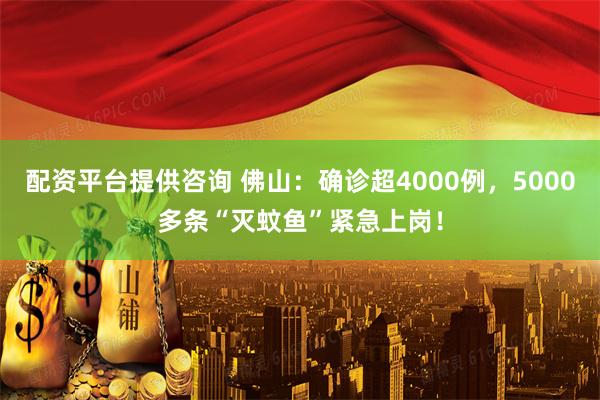 配资平台提供咨询 佛山：确诊超4000例，5000多条“灭蚊鱼”紧急上岗！